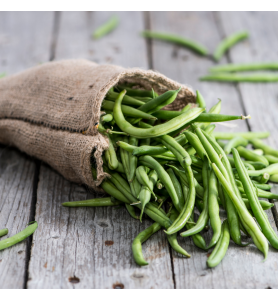 Haricot vert fin