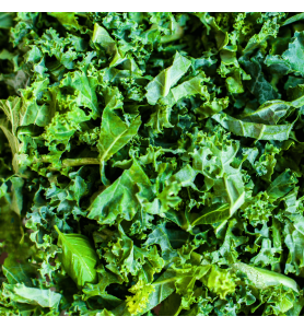 Salade frisée