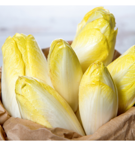 Endive