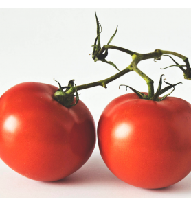 Tomate ronde grappe